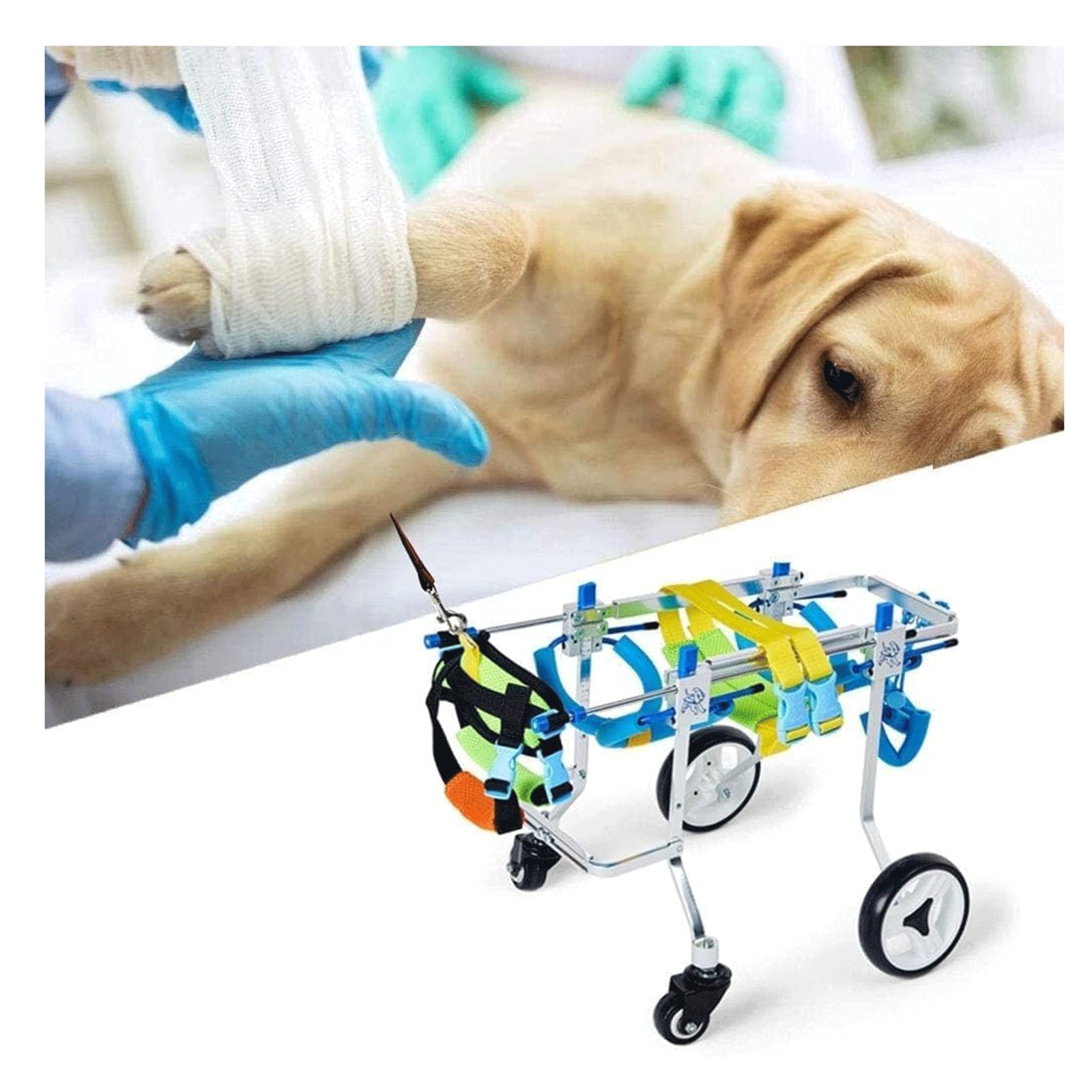 Amazon.co.jp: 調節可能なペット用車椅子 アルミ合金製 犬用車椅子